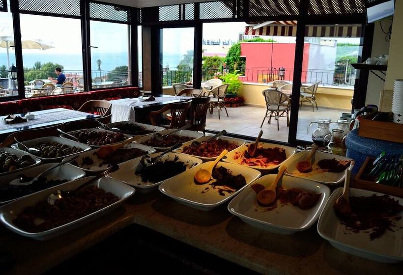 هتل Alp Guesthouse