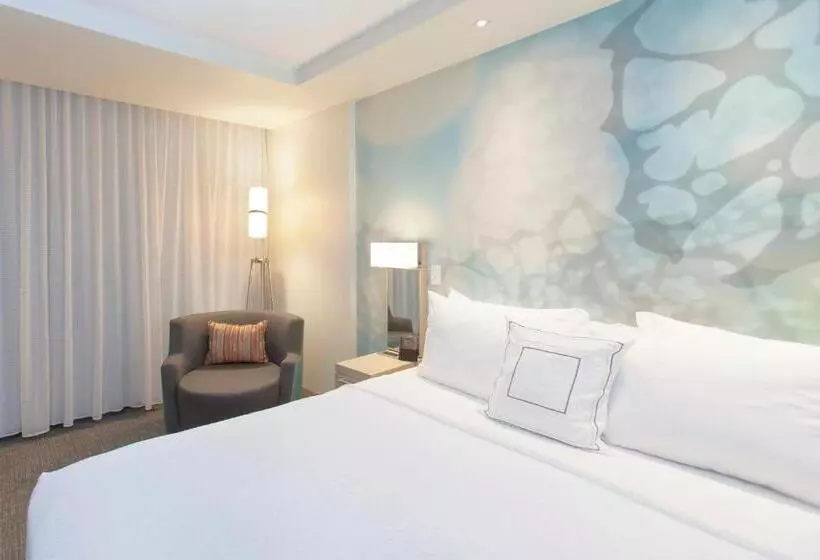 Hotelli Courtyard By Marriott Houston City Place