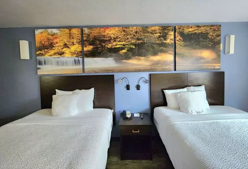 ホテル Days Inn By Wyndham New Orleans Pontchartrain