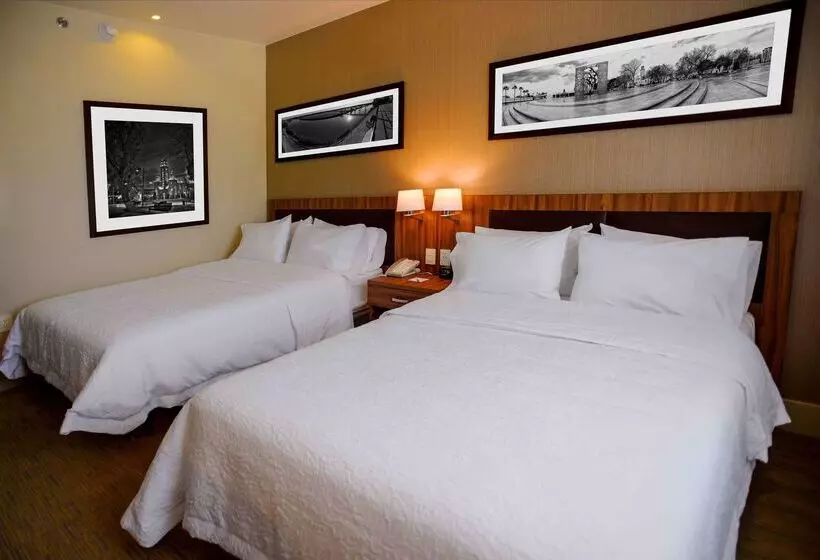 ホテル Hampton Inn By Hilton Piedras Negras