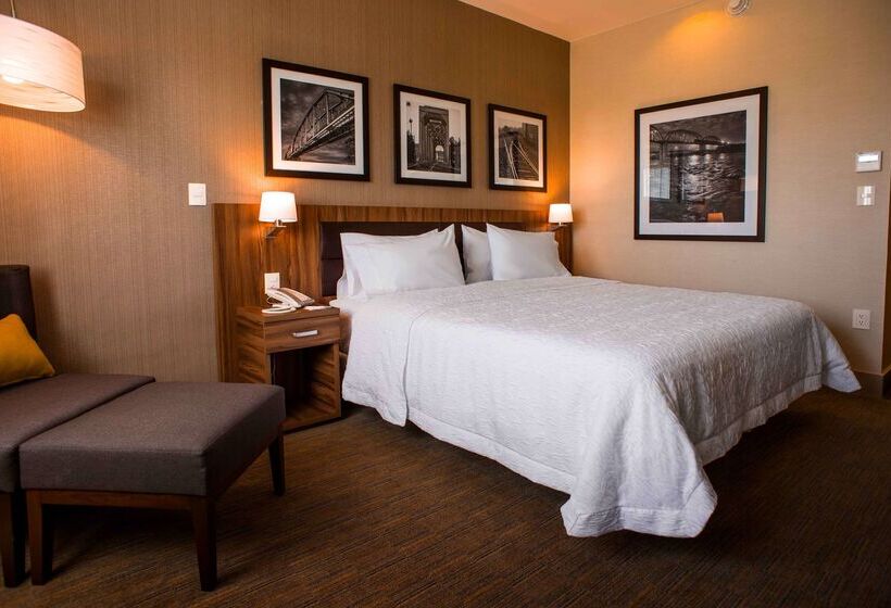 호텔 Hampton Inn By Hilton Piedras Negras