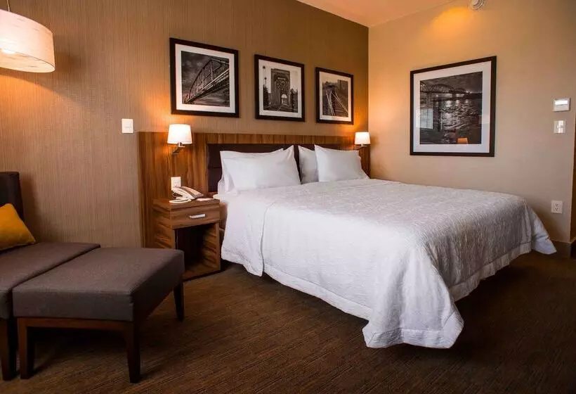 ホテル Hampton Inn By Hilton Piedras Negras