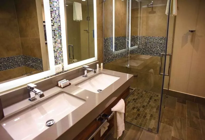 ホテル Hampton Inn By Hilton Piedras Negras