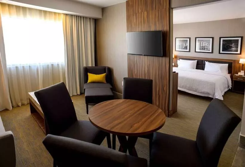 ホテル Hampton Inn By Hilton Piedras Negras