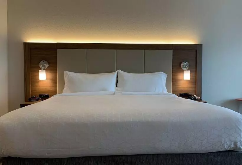 ホテル Holiday Inn Express & Suites Danville, An Ihg