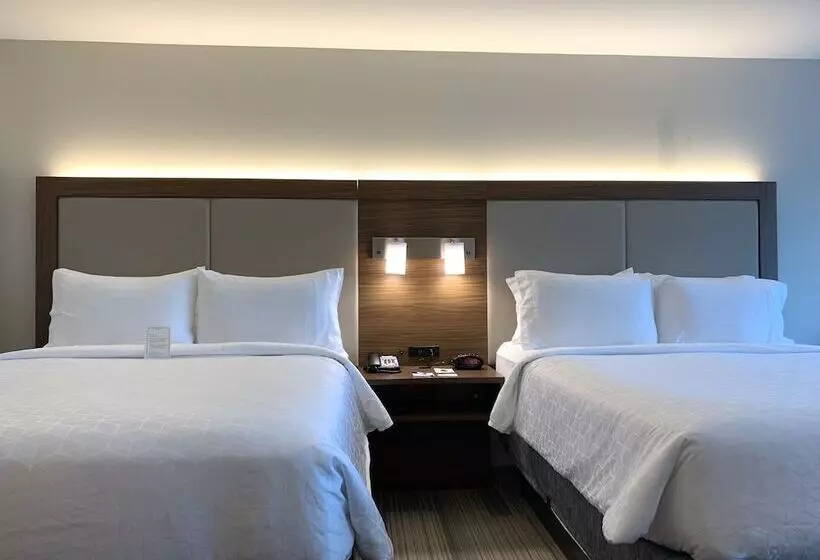 ホテル Holiday Inn Express & Suites Danville, An Ihg