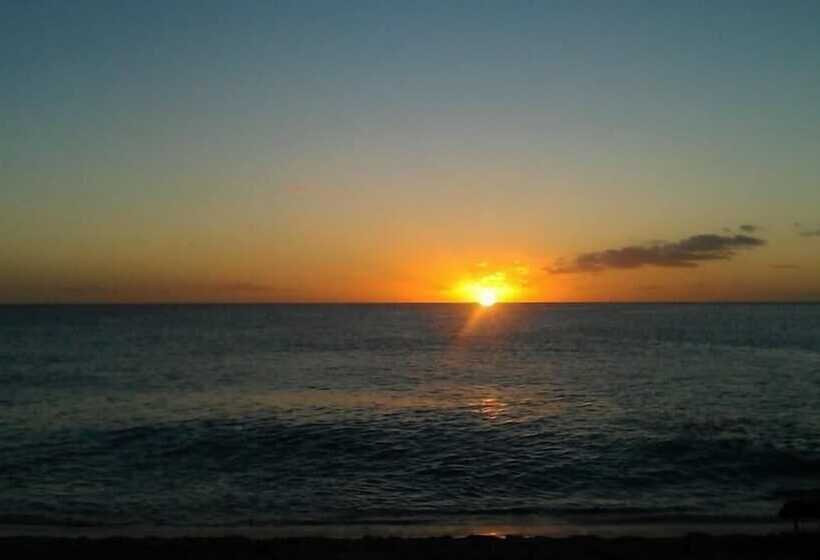 Отель New Windsor