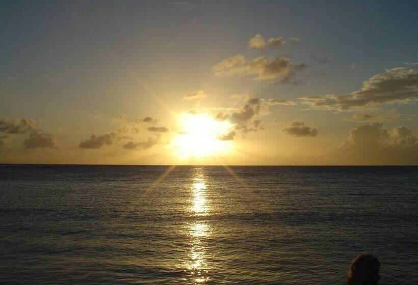 Отель New Windsor