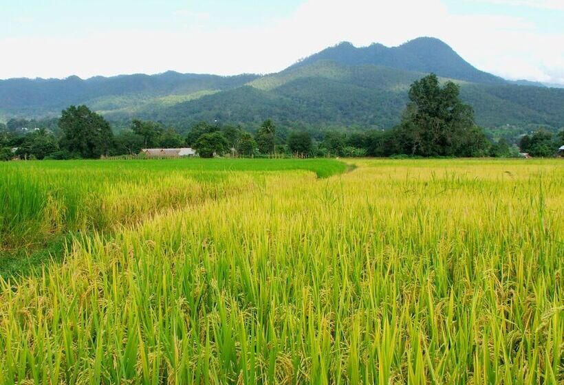 פנסיון Good Morning Pai