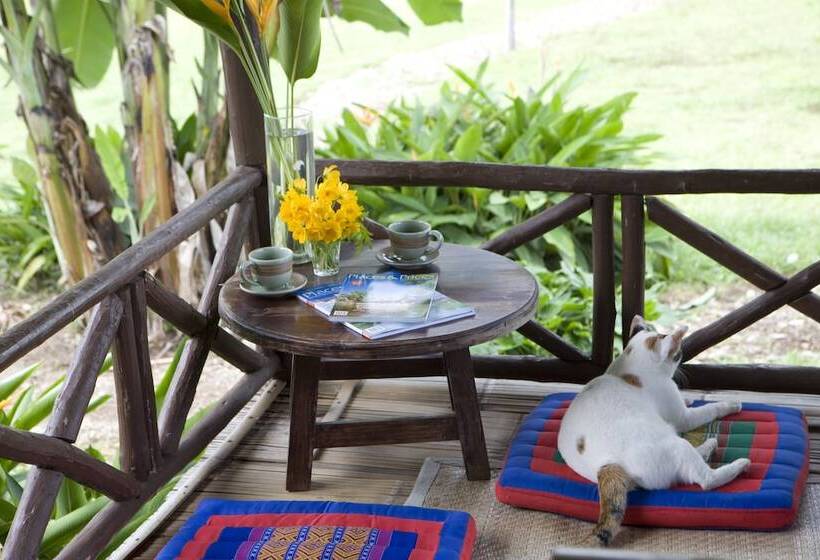 פנסיון Good Morning Pai