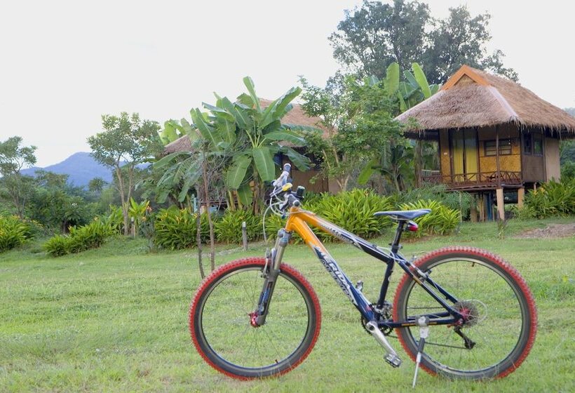 פנסיון Good Morning Pai