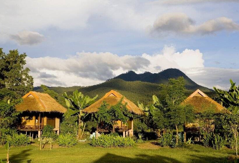 פנסיון Good Morning Pai