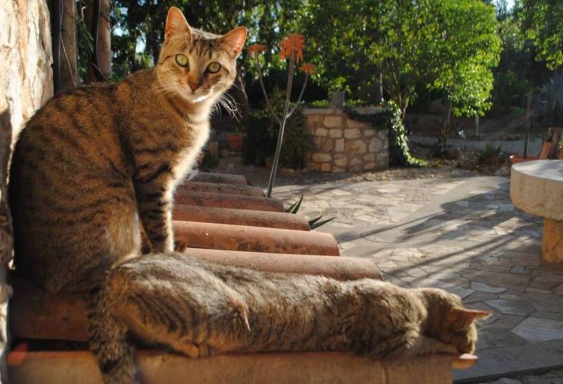 Weingut & Landhotel Can Davero