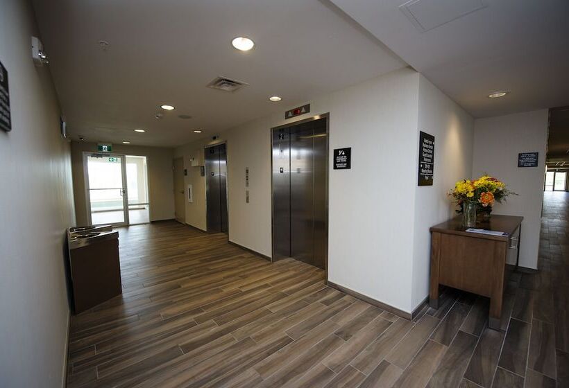 فندق Hampton Inn & Suites By Hilton Truro