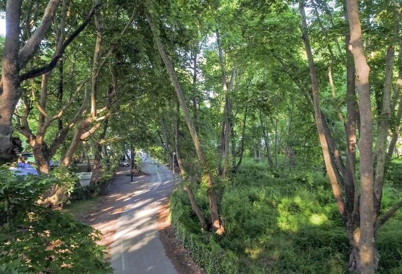 فندق Sintrivanis Beach Resort