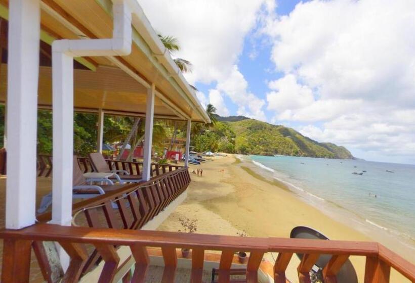 هتل The Naturalist Beach Resort