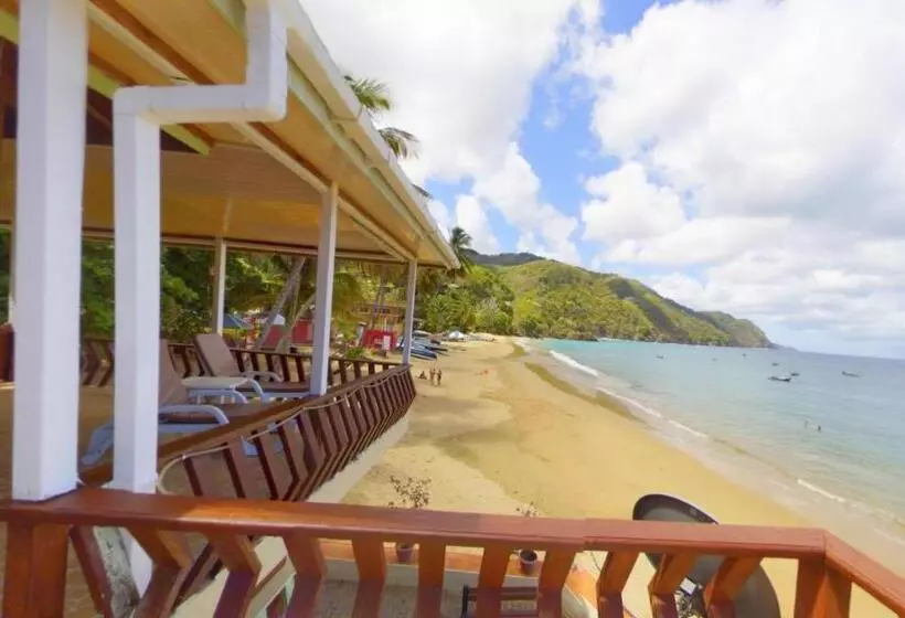 هتل The Naturalist Beach Resort