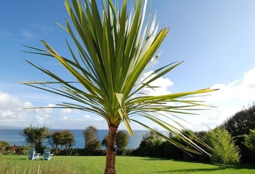 Hotel Trevalsa Court