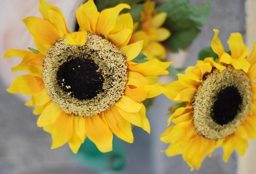 Пансион The Yellow House