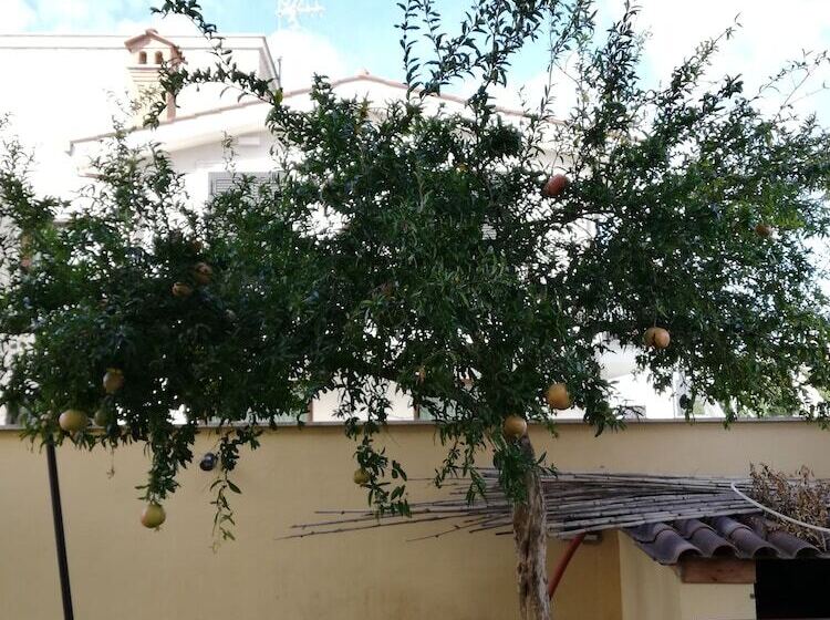 펜션 The Yellow House