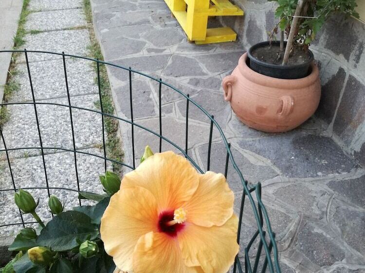 Пансион The Yellow House