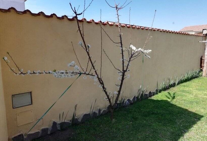 Пансион The Yellow House