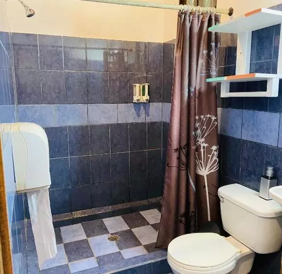 Lomakeskus Lizard King Hotel & Suites
