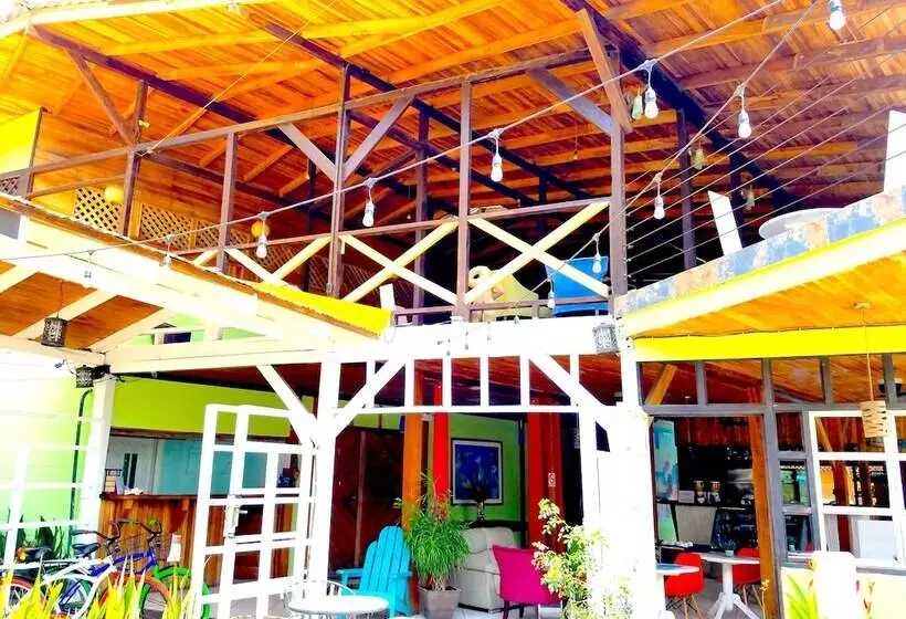Lomakeskus Lizard King Hotel & Suites