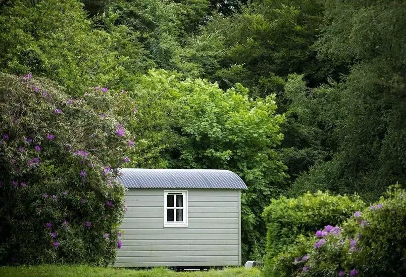 Aamiaismajoitus (B&B) Blackstairs Shepherds Huts