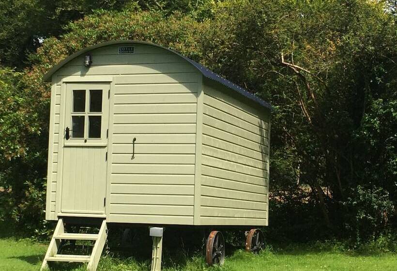 住宿加早餐 Blackstairs Shepherds Huts