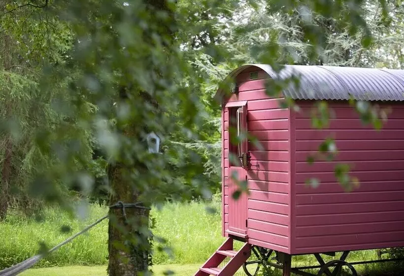 Aamiaismajoitus (B&B) Blackstairs Shepherds Huts