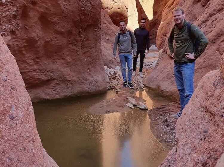 Bed and Breakfast Riad Rihana Tamlalte