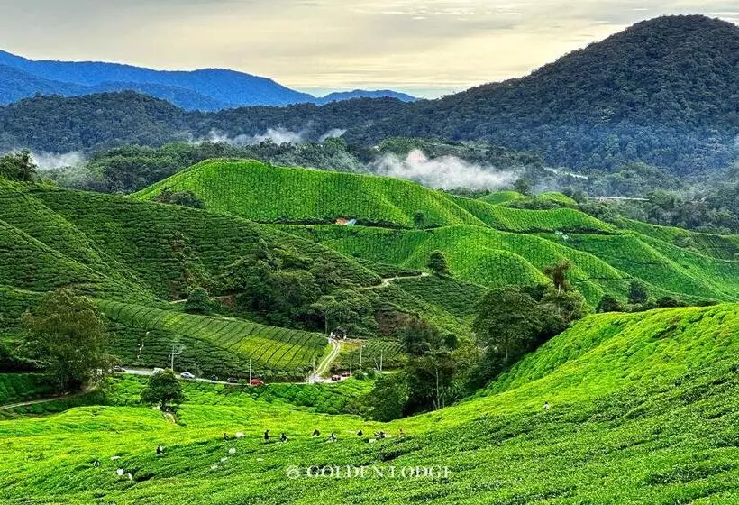 Hotelli Golden Lodge