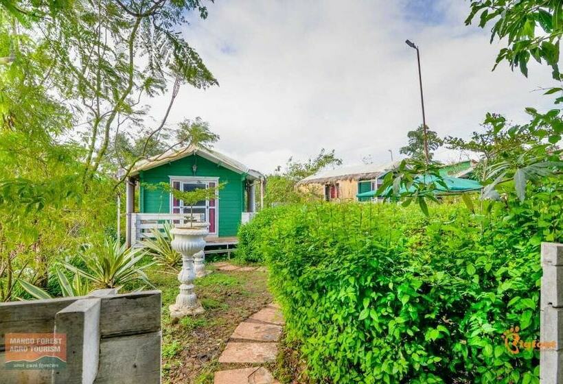 Hotel Mango Forest Agro Tourism Resort