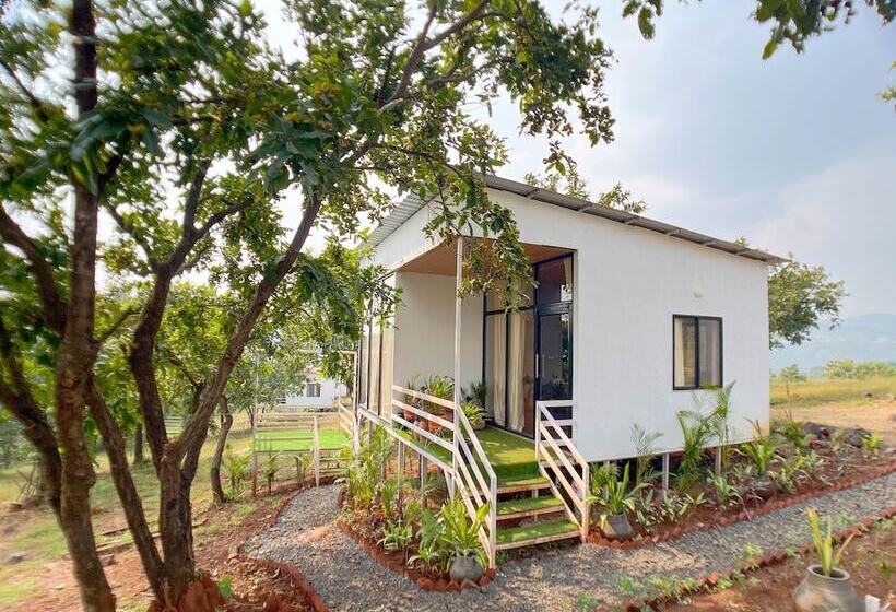 Hotel Mango Forest Agro Tourism Resort