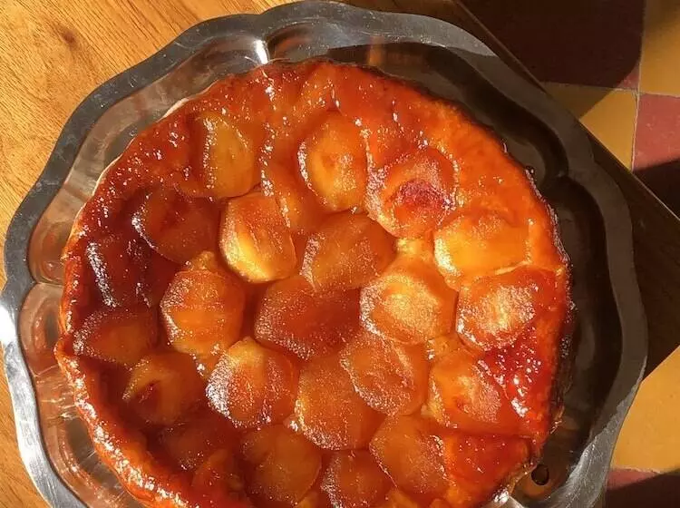 Majatalo Maison Et Table D Hôtes Le Camélia Blanc