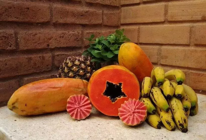 ベッドアンドブレックファースト Hostal Cuba