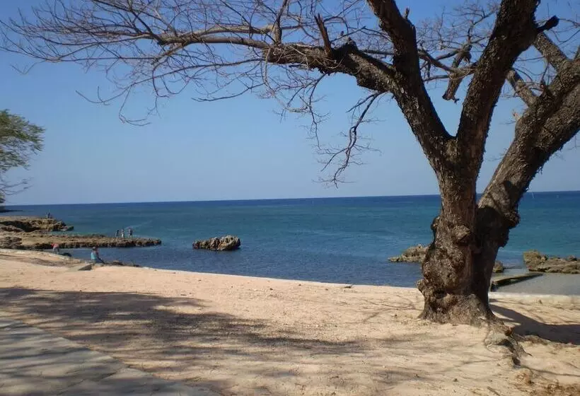 ベッドアンドブレックファースト Hostal Cuba