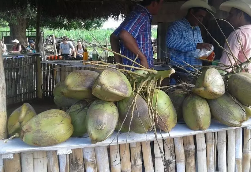ベッドアンドブレックファースト Hostal Cuba