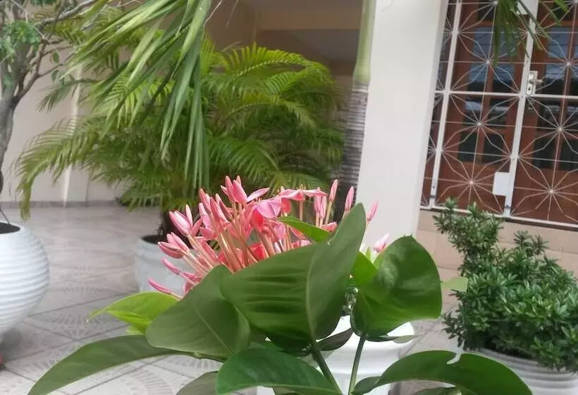 Each Hostel Da Amazonia