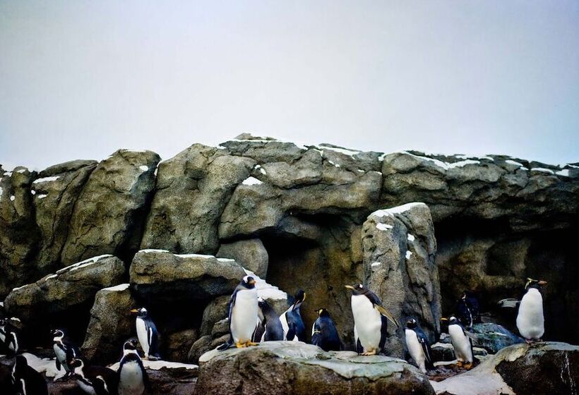 فندق Calgary Airport Marriott Interminal