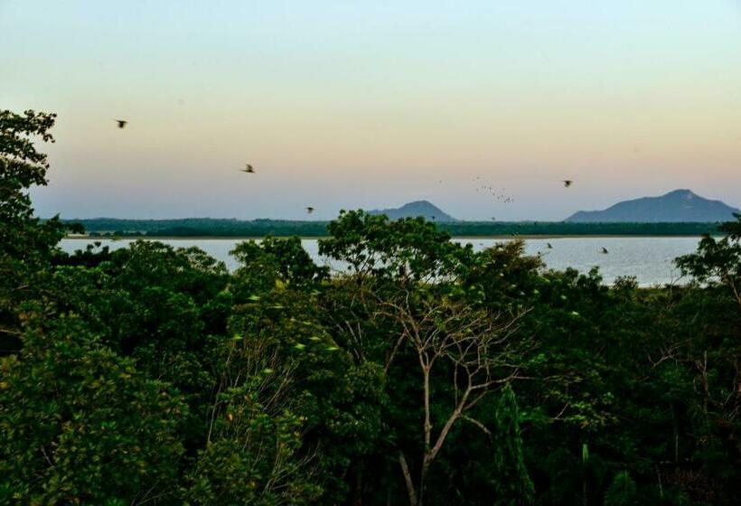 فندق Ceylan Lodge