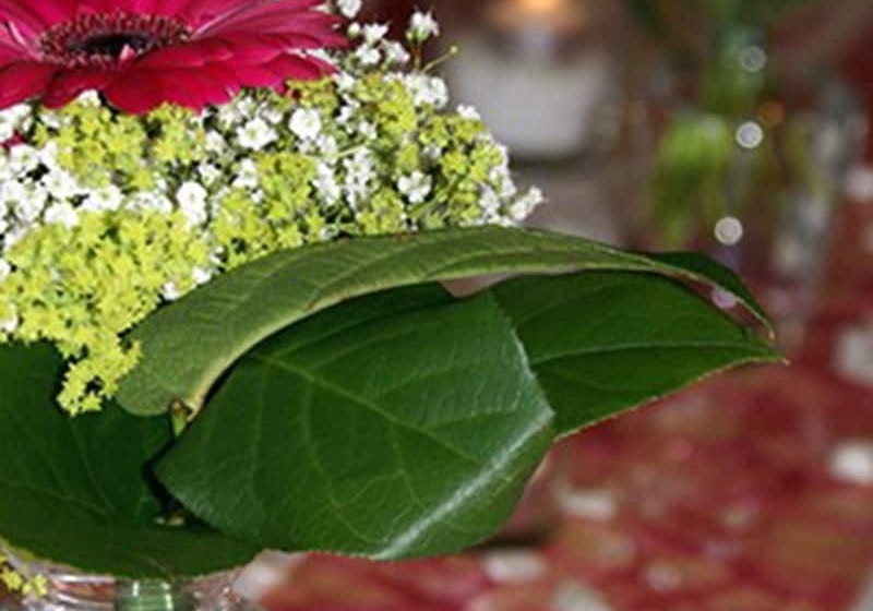 Отель Gasthof Turm