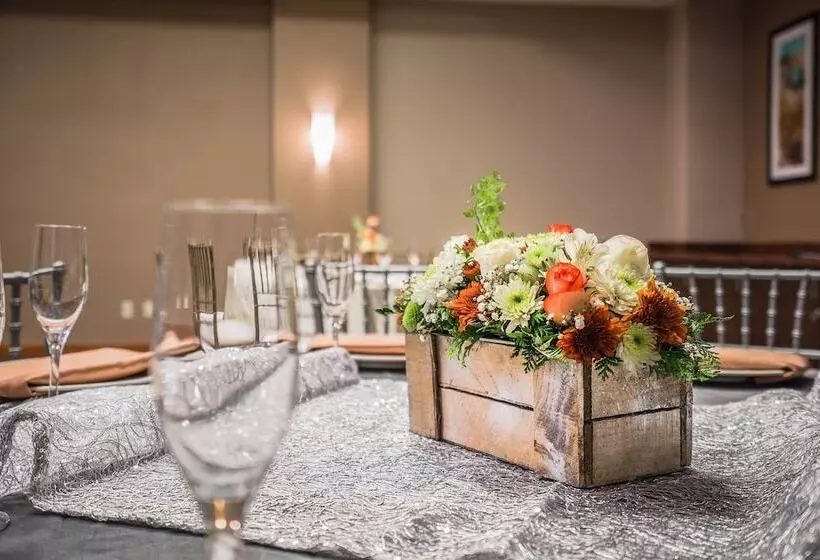 ホテル Hyatt Place Celaya