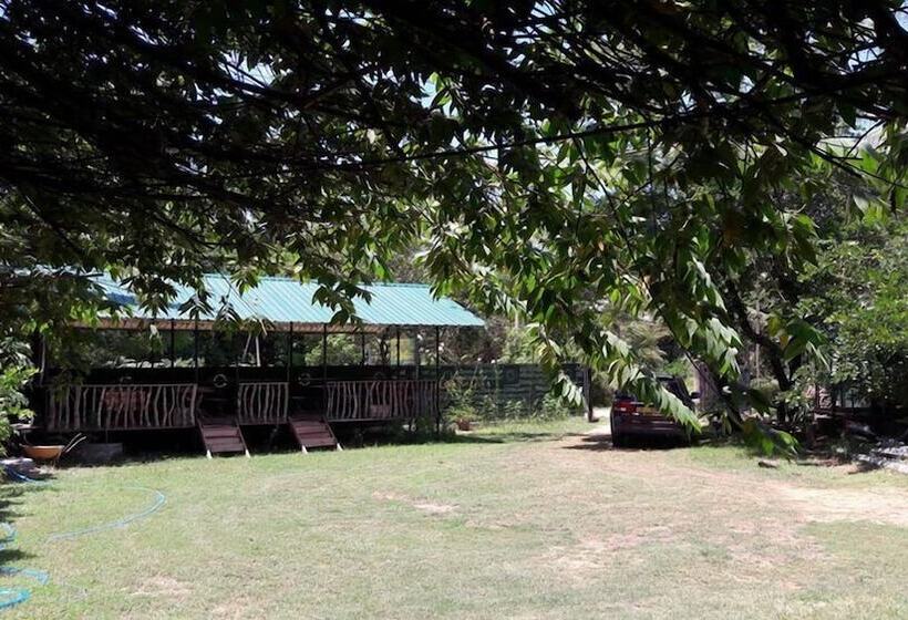 Отель The Green Guest House