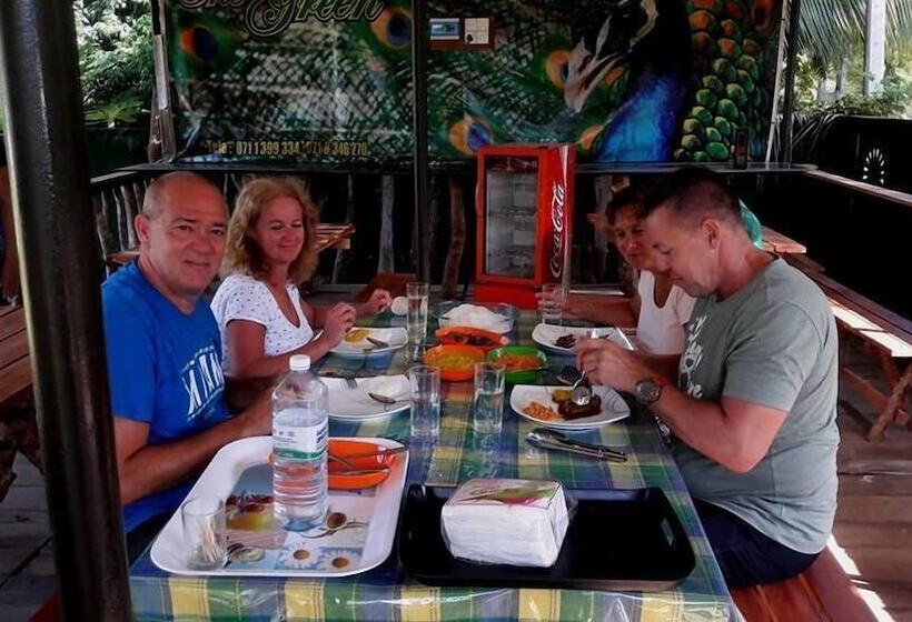 Отель The Green Guest House