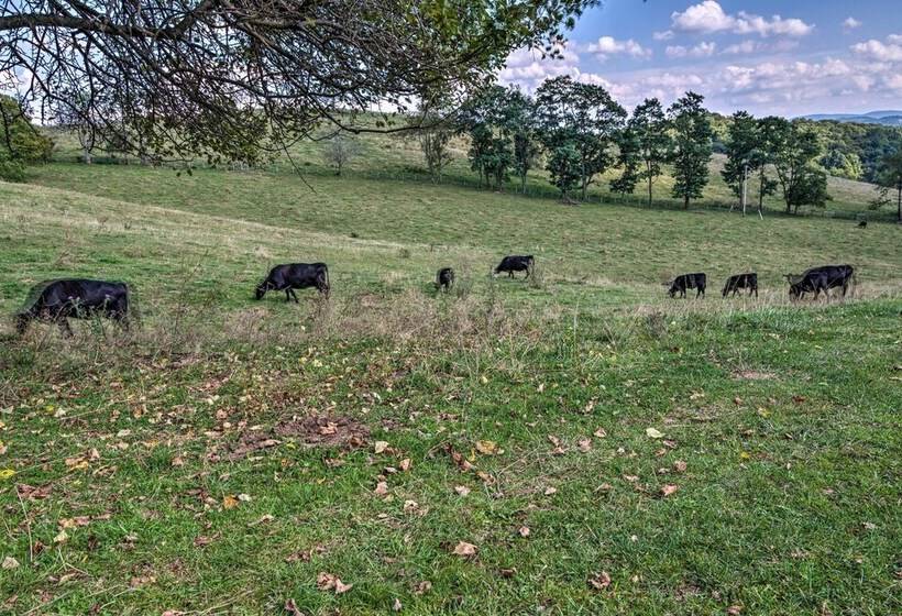Authentic Cabin W/ Fire Pit Near Trout Fishing!