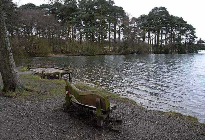 Beautiful 2 Bed Cottage In Brampton