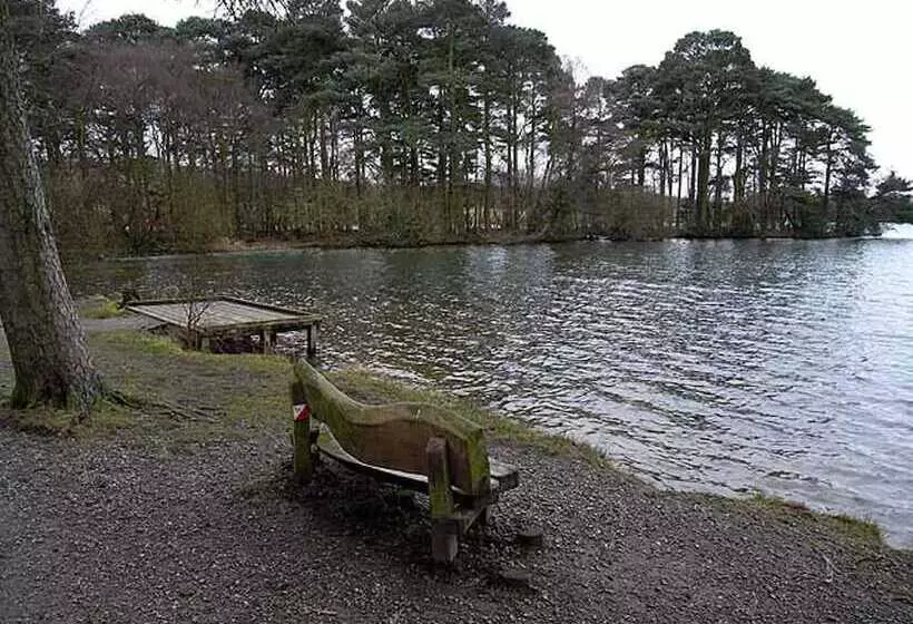 Beautiful 2 Bed Cottage In Brampton