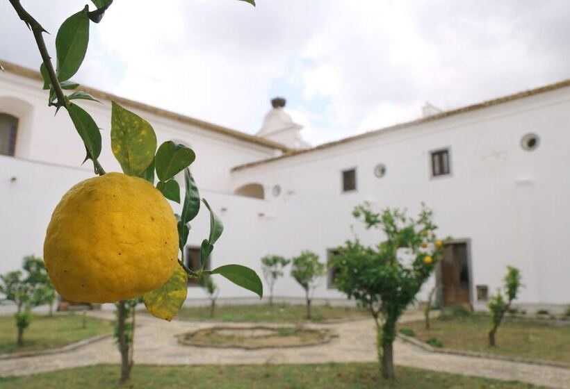 酒店 Convento Da Orada   Monsaraz